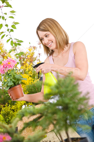Gardening - woman sprinkling water to plant Stock photo © CandyboxPhoto