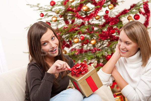 Two women unpacking Christmas present  Stock photo © CandyboxPhoto