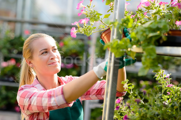 Female garden center worker with potted flowers Stock photo © CandyboxPhoto