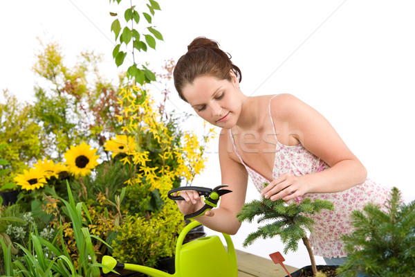Gardening - woman cutting tree with pruning shears Stock photo © CandyboxPhoto