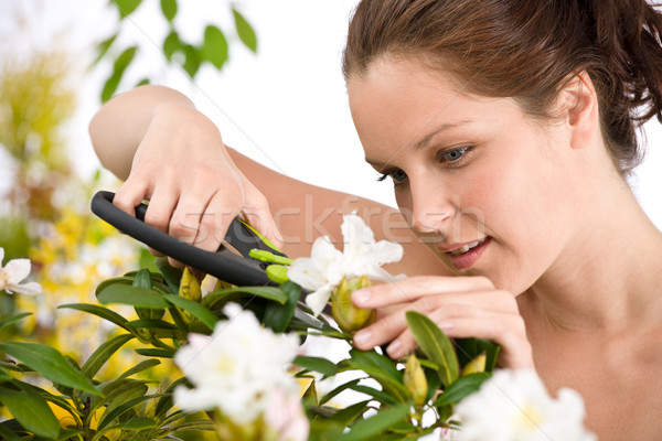 Gardening - woman cutting flower with pruning shears Stock photo © CandyboxPhoto