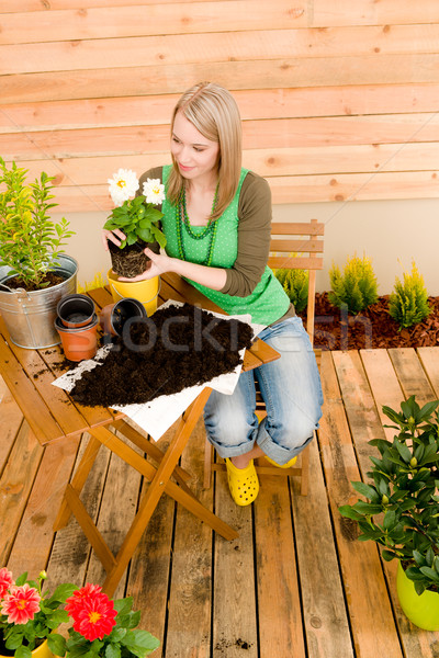 Kertészkedés nő ültet tavaszi virág terasz virág Stock fotó © CandyboxPhoto