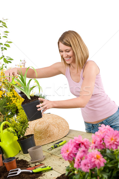 Zdjęcia stock: Ogrodnictwo · uśmiechnięta · kobieta · doniczka · roślin · biały
