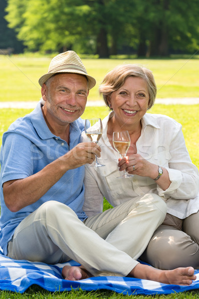 Foto stock: Feliz · casal · de · idosos · potável · vinho · ao · ar · livre · parque