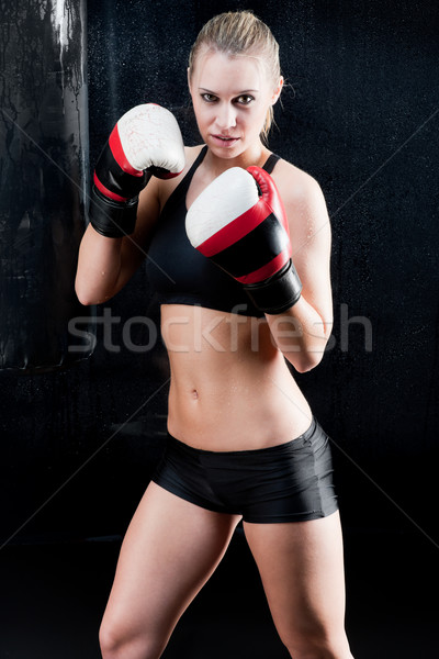 Sexy бокса подготовки женщину перчатки спортзал Сток-фото © CandyboxPhoto