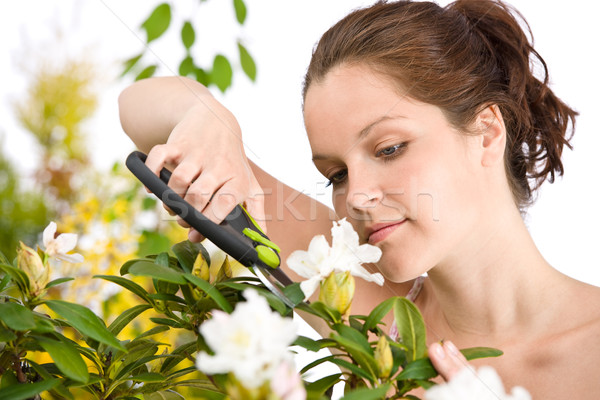 Gardening - woman cutting flower with pruning shears  Stock photo © CandyboxPhoto
