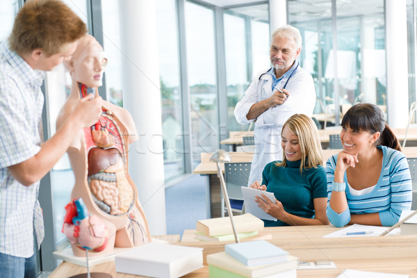 Stockfoto: Medische · studenten · hoogleraar · menselijke · anatomisch · model