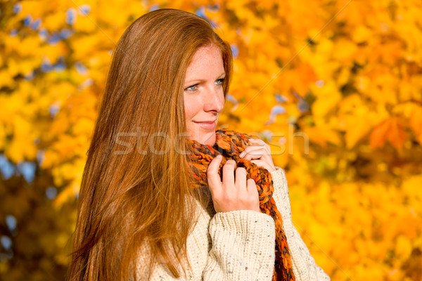 Outono país pôr do sol mulher retrato Foto stock © CandyboxPhoto