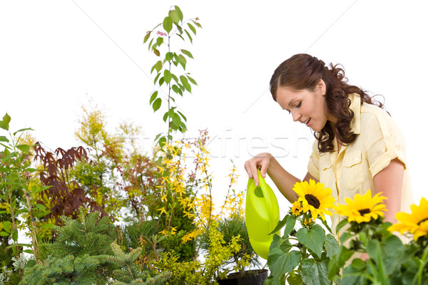 Stockfoto: Tuinieren · vrouw · planten · gieter · water