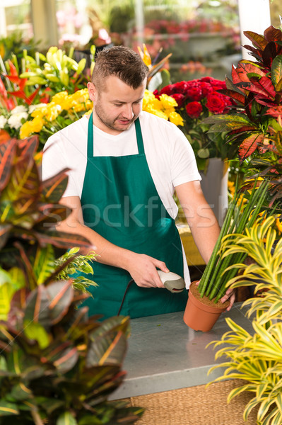 Fleuriste homme lecture Barcode plante en pot magasin [[stock_photo]] © CandyboxPhoto