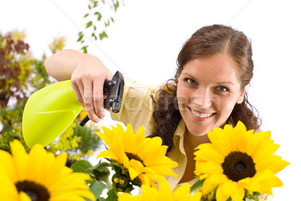Gardening - woman sprinkling water on sunflower  Stock photo © CandyboxPhoto