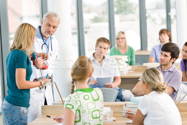 Geneeskunde studenten hoogleraar hart model anatomisch Stockfoto © CandyboxPhoto