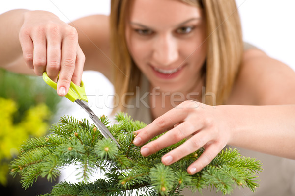 Gardening - woman trimming spruce tree, focus on scissors Stock photo © CandyboxPhoto