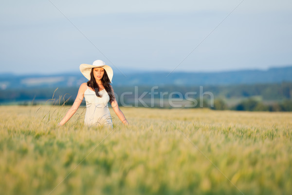 Pôr do sol milho campo belo morena mulher Foto stock © CandyboxPhoto