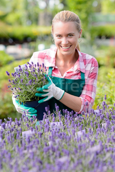 Stockfoto: Tuin · centrum · vrouw · lavendel · bloemen · glimlachend