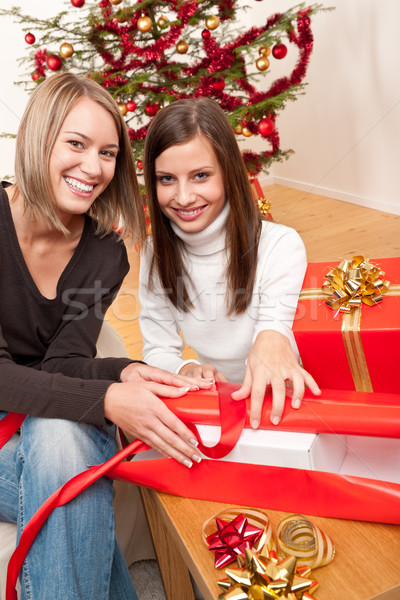 Foto stock: Dos · mujeres · Navidad · presente · árbol · mujer