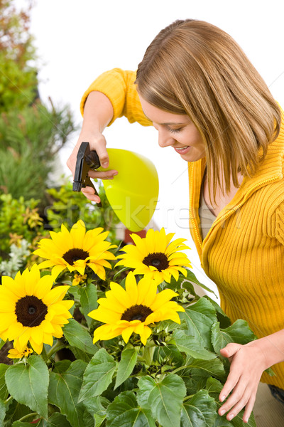 Gardening - woman sprinkling water to sunflowers  Stock photo © CandyboxPhoto