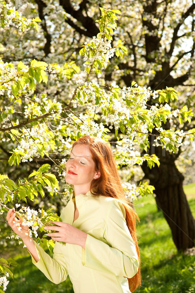 Foto stock: Primavera · flor · árbol · hermosa