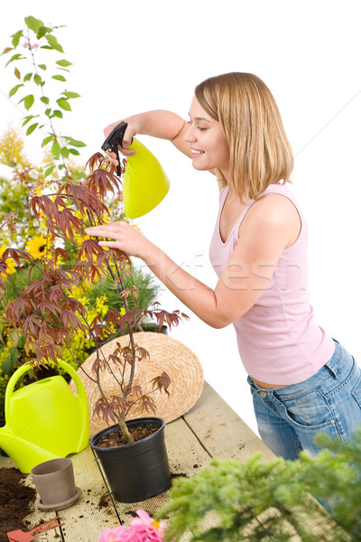 Gardening - woman sprinkling water to plant Stock photo © CandyboxPhoto
