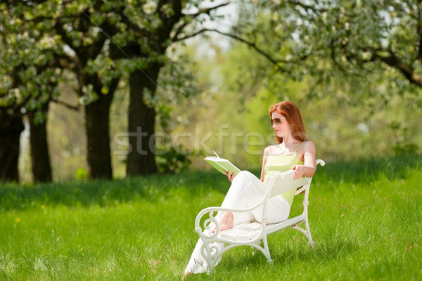 Relajante flor árbol primavera largo Foto stock © CandyboxPhoto