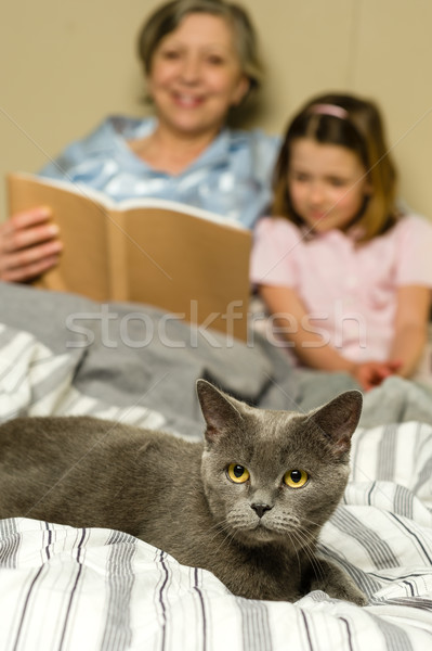 Senior vrouw kleindochter lezing kat bed Stockfoto © CandyboxPhoto
