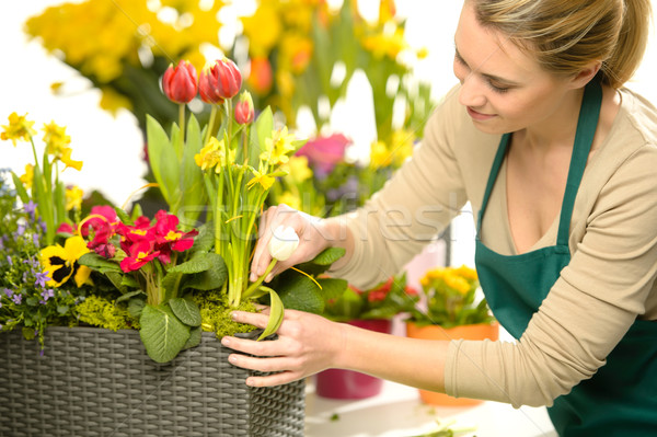Florist arrange spring flowers colorful Stock photo © CandyboxPhoto