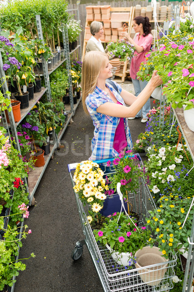Woman shopping for flowers in garden centre Stock photo © CandyboxPhoto
