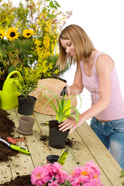 Gardening - woman sprinkling water to plant Stock photo © CandyboxPhoto