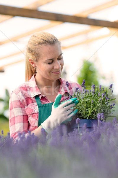 Garden center woman with lavender potted flowers Stock photo © CandyboxPhoto
