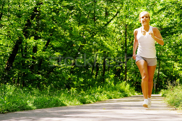 Foresta percorso sport natura Foto d'archivio © cardmaverick2