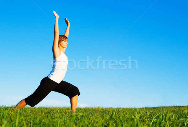Jonge vrouw yoga zonnige weide compleet foto's Stockfoto © cardmaverick2