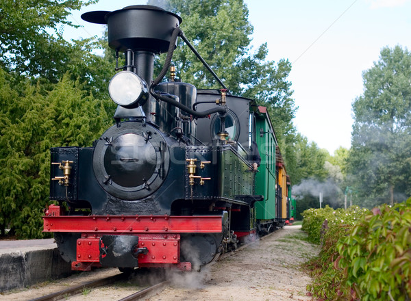 Old train is railing Stock photo © carenas1