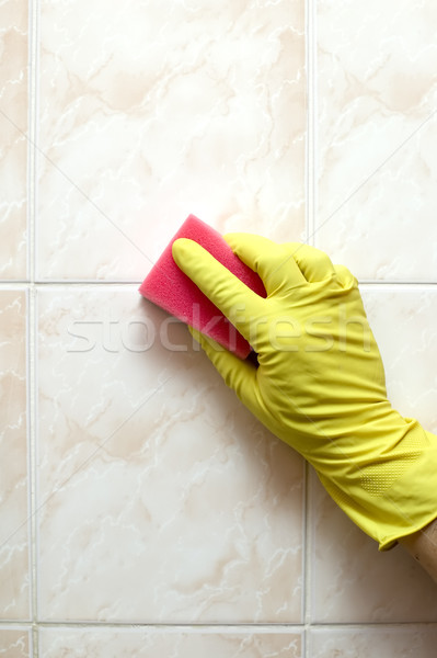 清潔器 手套 紅色 海綿 清洗 瓷磚 商業照片 © carenas1