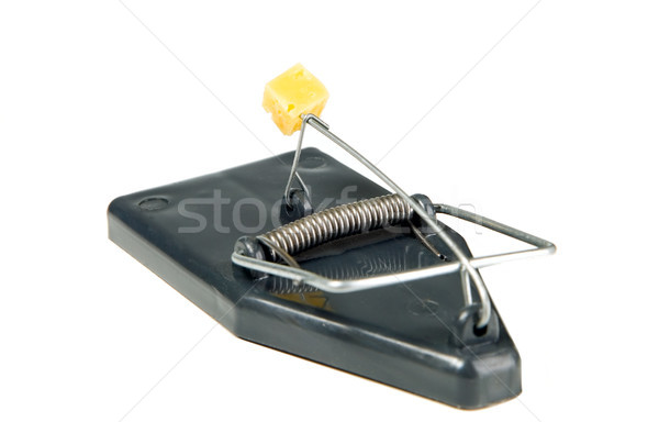 A mouse trap with cheese Stock photo © carenas1