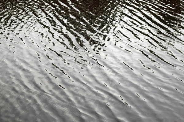 Powierzchnia wody mały fale refleksji drzew wody Zdjęcia stock © carenas1