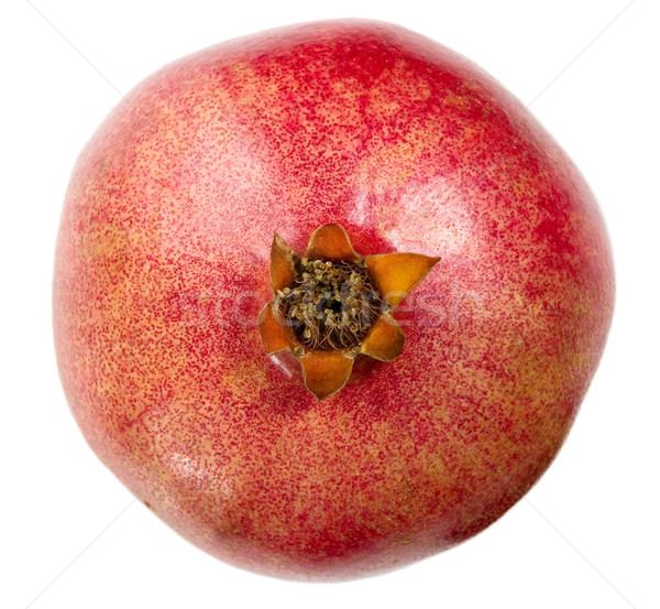 Tasteful fruit garnet Stock photo © carenas1