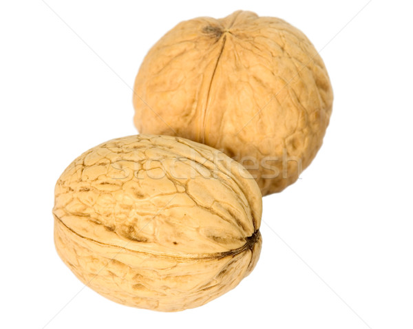 增加至灯箱 商业照片 #3630843brown greek nut 由      上线自