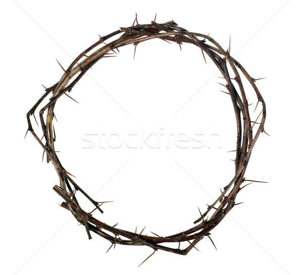 Korona fa Isten fájdalom vallás Krisztus Stock fotó © carenas1