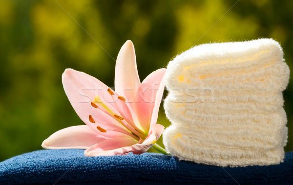 Handdoeken bloem Blauw witte groene natuur Stockfoto © carenas1