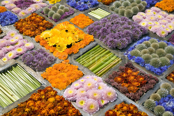 Texture beaucoup différent fleurs blocs belle [[stock_photo]] © carenas1