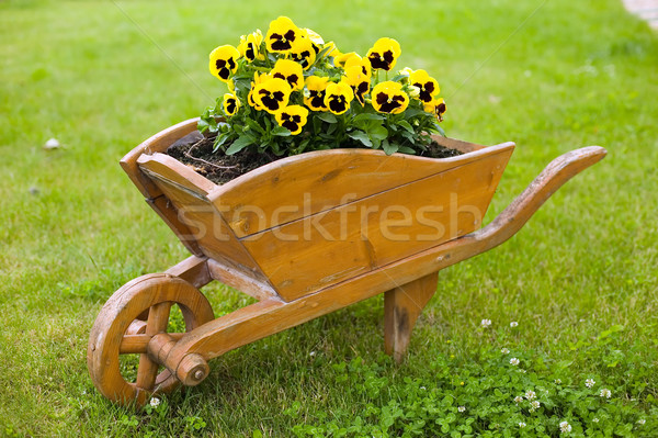 Brown barrow with yellow flowers Stock photo © carenas1