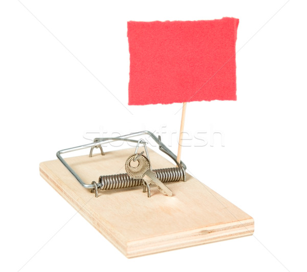 A mouse trap with keys Stock photo © carenas1