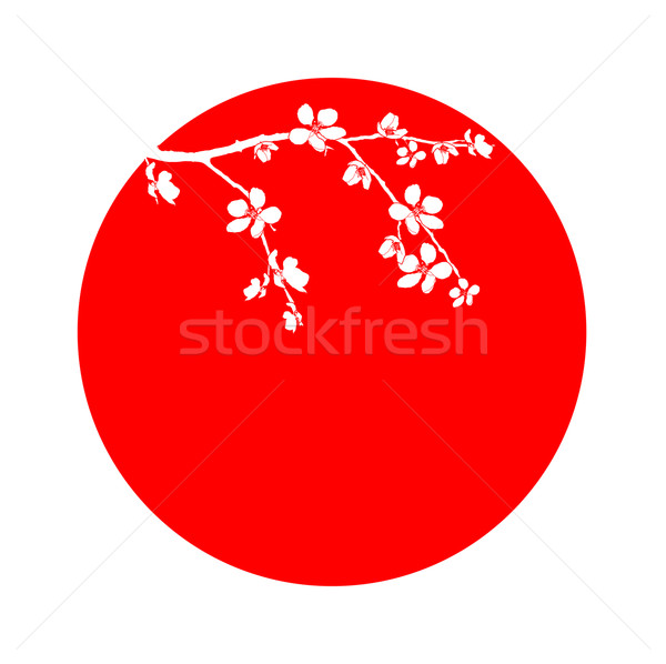 Zweig schönen Kirschblüten Kreis rot Blume Stock foto © carenas1
