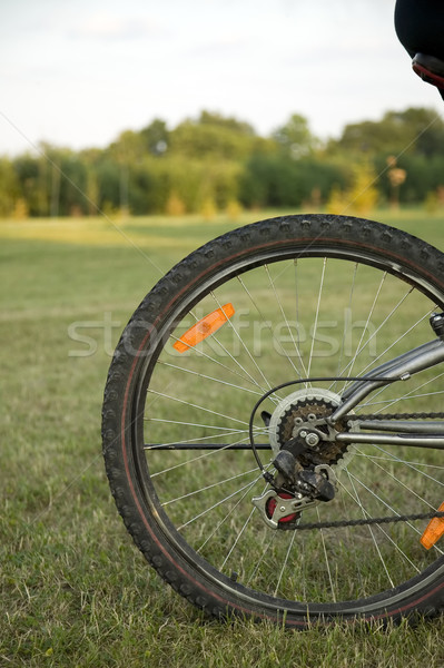 Rad Fahrrad Natur Sport Himmel Sommer Stock foto © carenas1