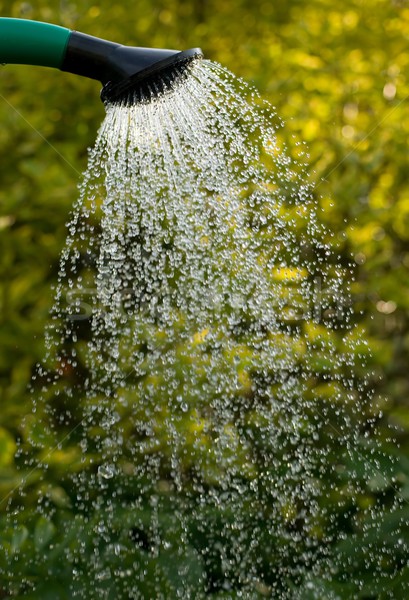 Sprinkler Wasser Gießen Gras Blumen Hintergrund Stock foto © carenas1