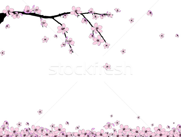 Fleur De Cerisier Fleurs De Sakura Floral Background