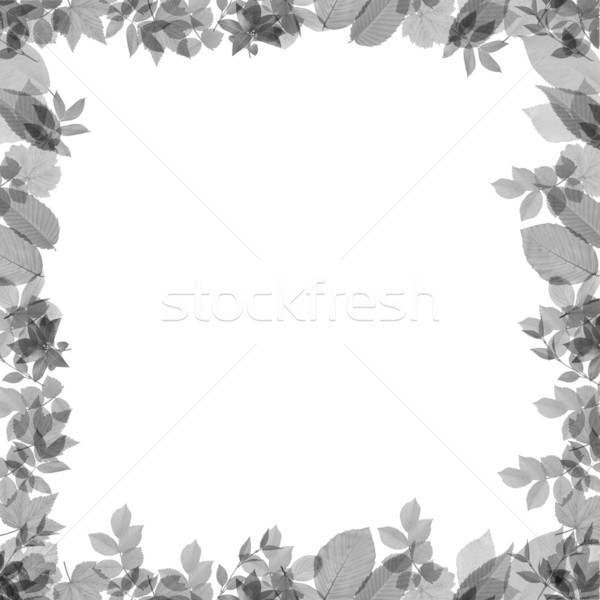 Abstract frame gefeliciteerd kaarten contrast idee Stockfoto © carenas1