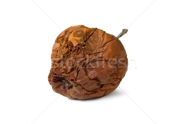 Old rotten apple on white isolated background Stock photo © carenas1