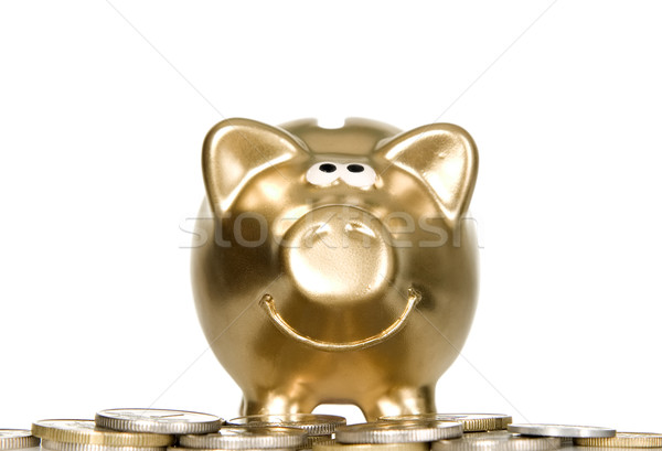 Golden piggybank with money near by it Stock photo © carenas1