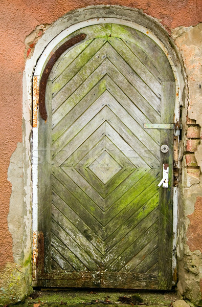 Old vintage doors Stock photo © carenas1